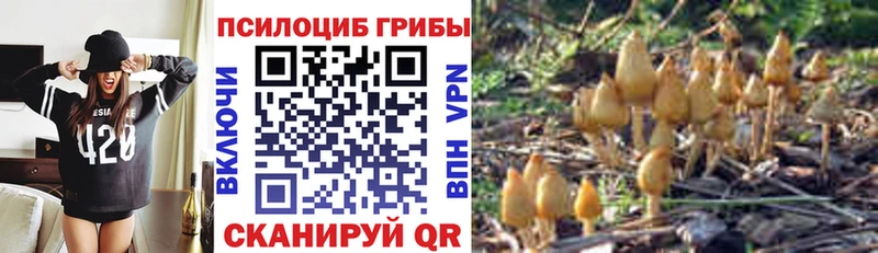 Галлюциногенные грибы Magic Shrooms  Кяхта 