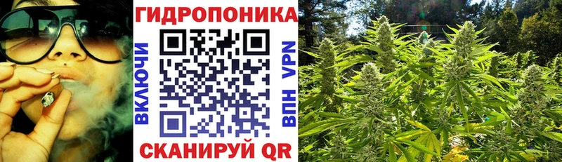 МАРИХУАНА семена  Кяхта 